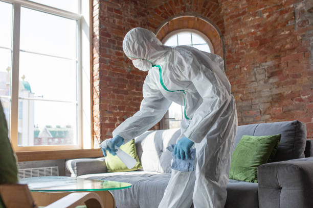 Why You Should Choose Our Mold Remediation Services in Temple, PA