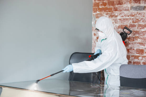 Best Comprehensive Air Testing for Mold Contaminants in Temple, PA