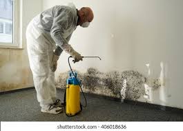 Best Biohazard Mold Removal in Temple, PA